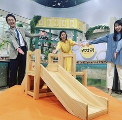 木製滑り台～RCCテレビ『イマナマ!』BUTSUBUTSUバージョン～サムネイル